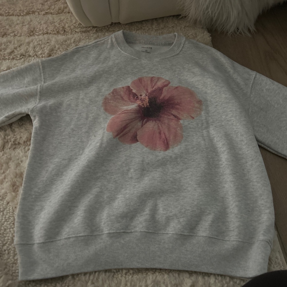 Hollister sweatshirt